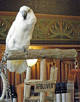 Afblijven.M
