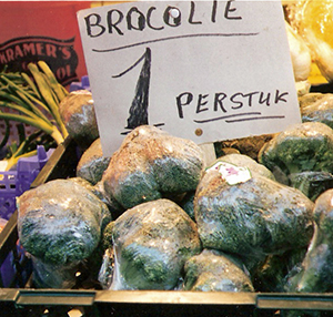 brocolie.M