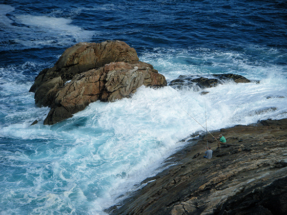 Coruna.L