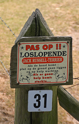 Hond.M.jpg