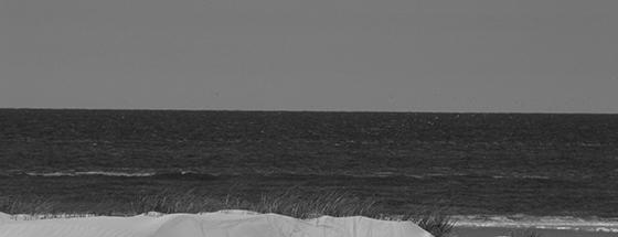Horizon.L
