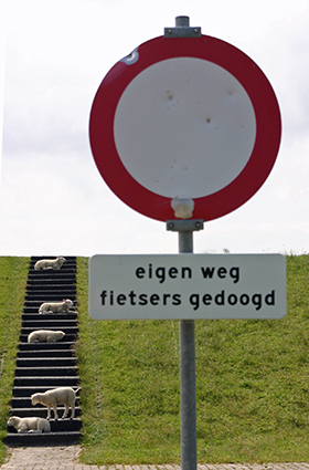 mogen.M