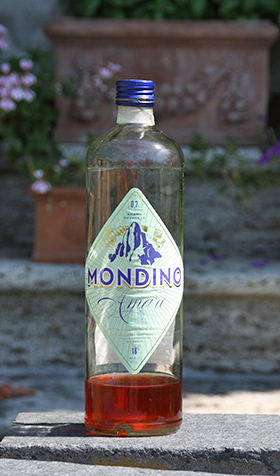 Mondino.M