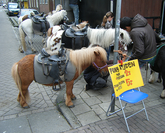 pony.L