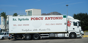 Porcu.M