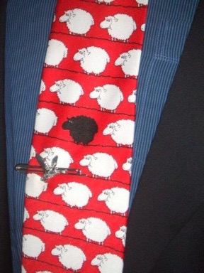 schaap