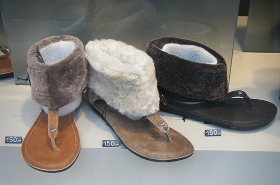 slipper.L