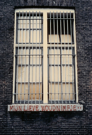 woudnimfje.M