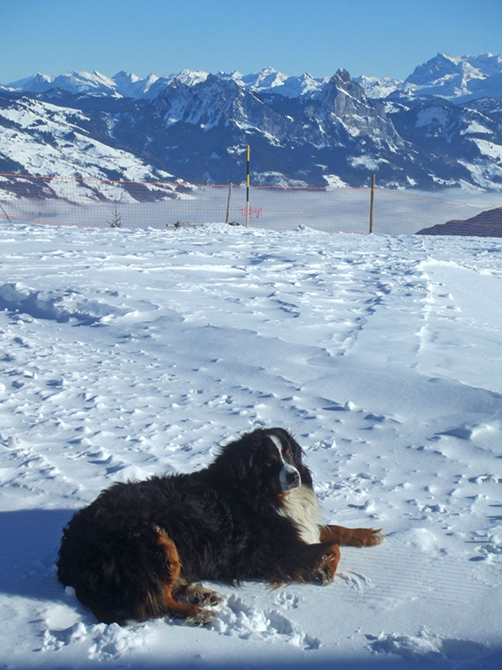 Berner.L