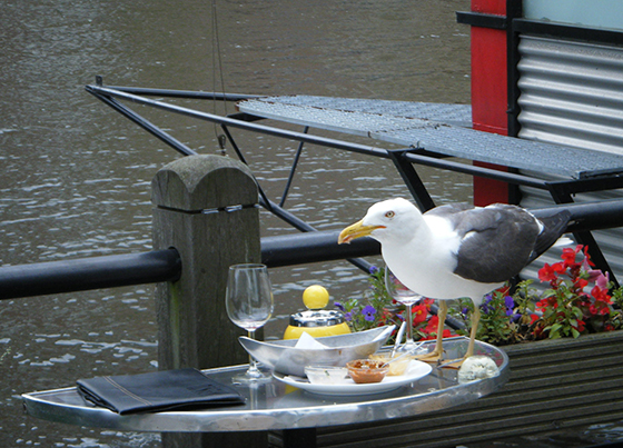 Leiden.L