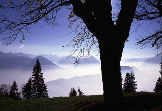 Rigi©.L