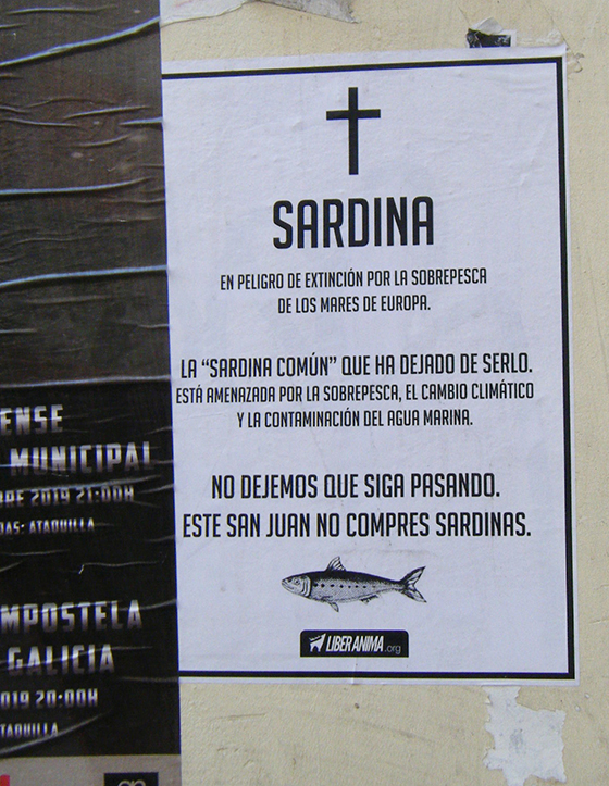 sardina.L